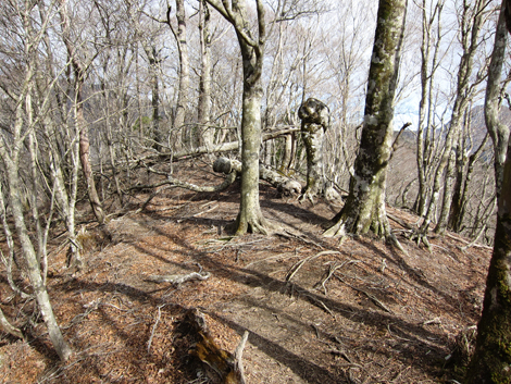 20200110hike (249)